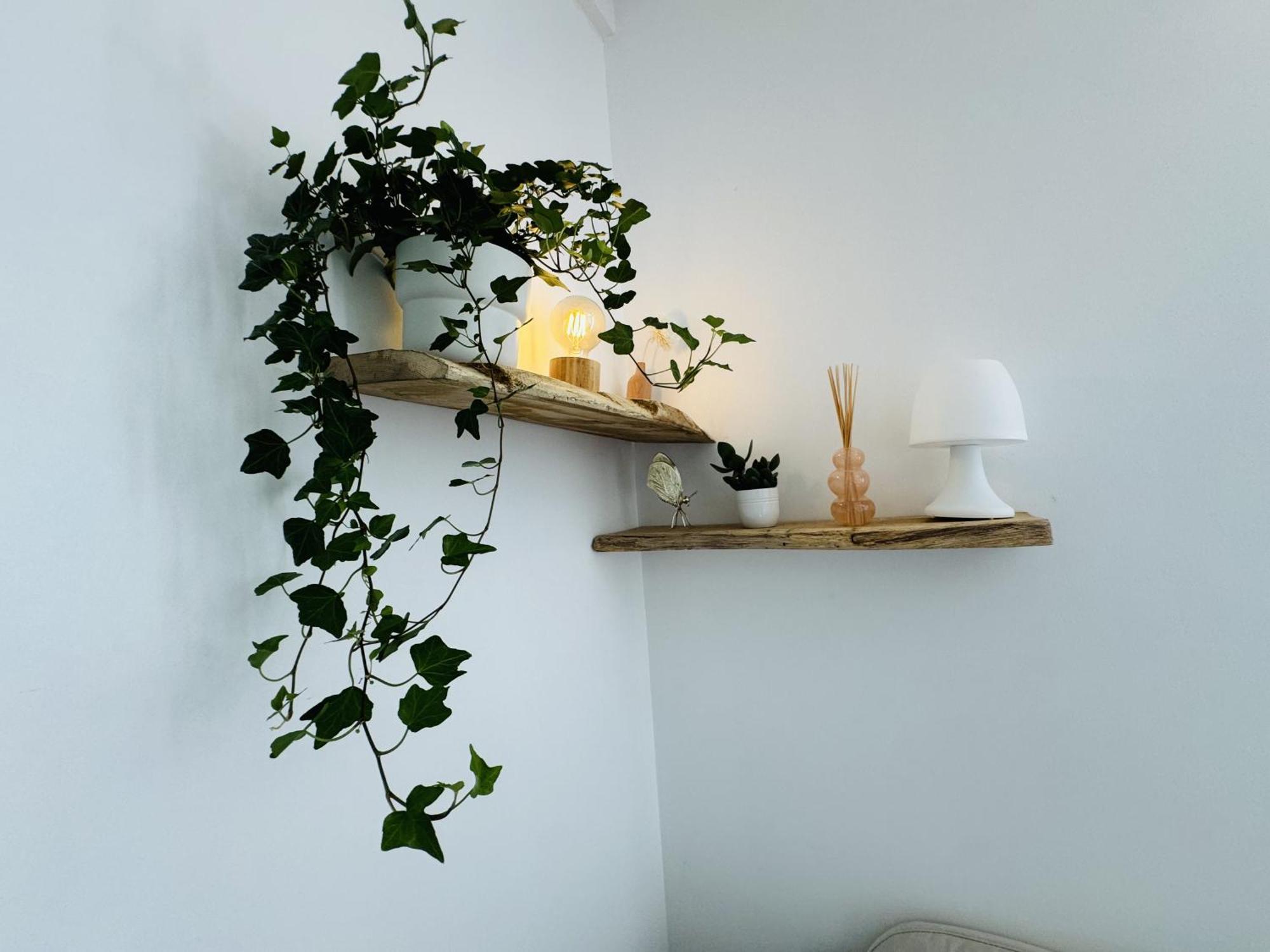 Le Piccolo - Appartement Cosy - Wifi Bègles Esterno foto